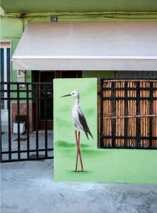 natura-albufera-aves-3